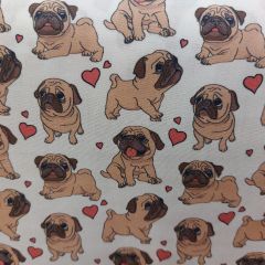 PERRO CARLINO
