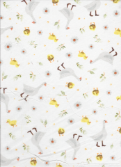 PATITOS