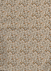 PEQUEÑAS FLORES FONDO BEIGE