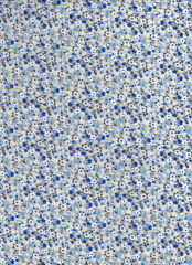 PEQUEÑAS FLORES AZULES