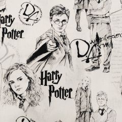 TROZO HARRY POTTER BLANCO Y NEGRO 50cm
