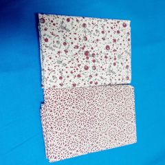 LOTE PATCH 5