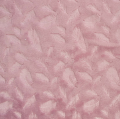 CORALINA KATIA ROSA