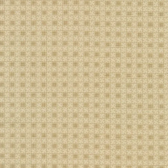 DAKOTA THREADS 22545 13