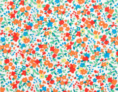 FLORES MULTICOLOR FONDO BLANCO