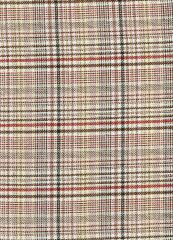 PRINCIPE DE GALES VERDE  MARRON