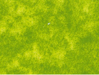 TROZO MARMOLEADO PISTACHO 60cm