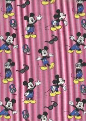 MICKEY FONDO RAYAS
