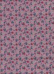 ROSAS FONDO ROSA