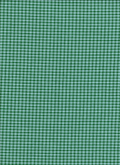 SEERSUCKER CUADRO MINI VERDE Y MENTA