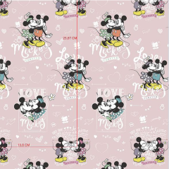 MICKEY Y MINNIE ENAMORADOS