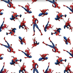 SPIDERMAN