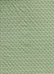 PATCH VERDE FLOR 1