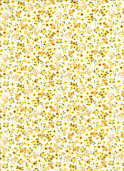 PEQUEÑAS FLORES AMARILLAS