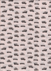 COCHES Y BICIS