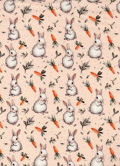 CONEJITOS CON ZANAHORIAS