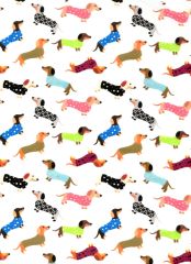 PERROS SALCHICHA CON CAMISETA