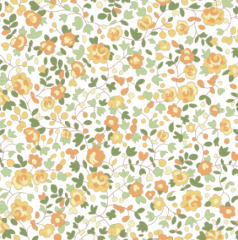 PEQUEÑAS FLORES AMARILLAS Y VERDES