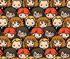 HARRY POTTER CARAS