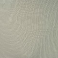 PUNTO RIB VERDE CAQUI