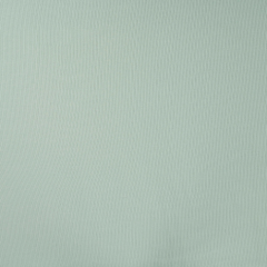 PUNTO RIB VERDE VIEJO