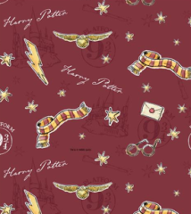 HARRY POTTER GRYFFINDOR