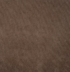 MICROPANA ELASTICA TAUPE