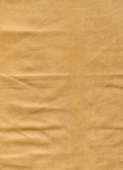 ANTELINA CON NEOPRENO CAMEL