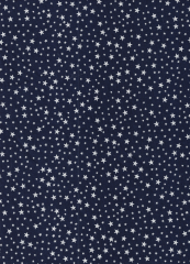 NAVIDAD ESTRELLA PLATA FONDO AZUL