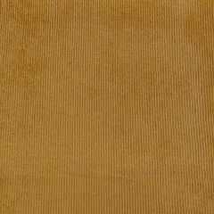 RETAL MICROPANA ELASTICA OCRE