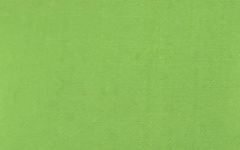 P/A VERDE PISTACHO 2