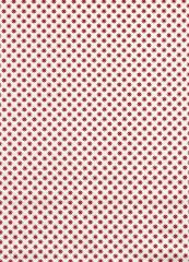PATCH CRUDO ESTRELLA GRANATE